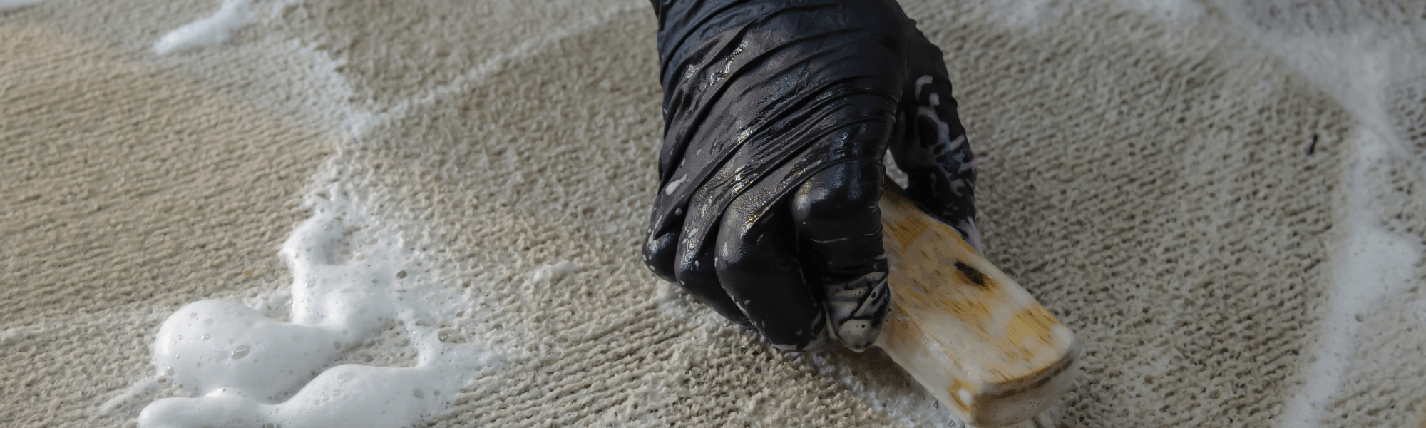 Interior Cleaner | Maazzo
